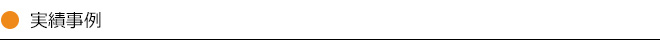 実績事例
